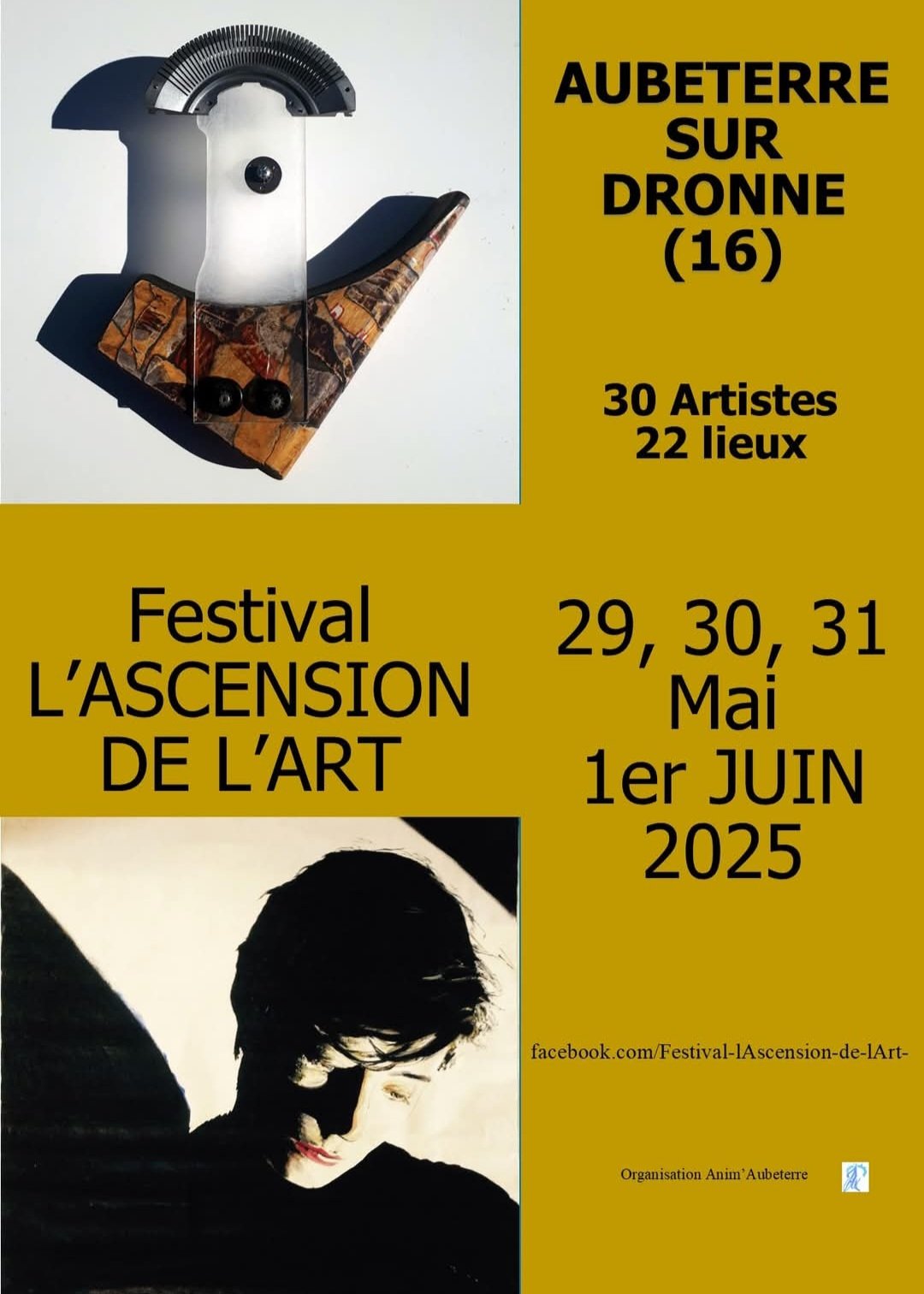 Festival L'Ascension de l'Art