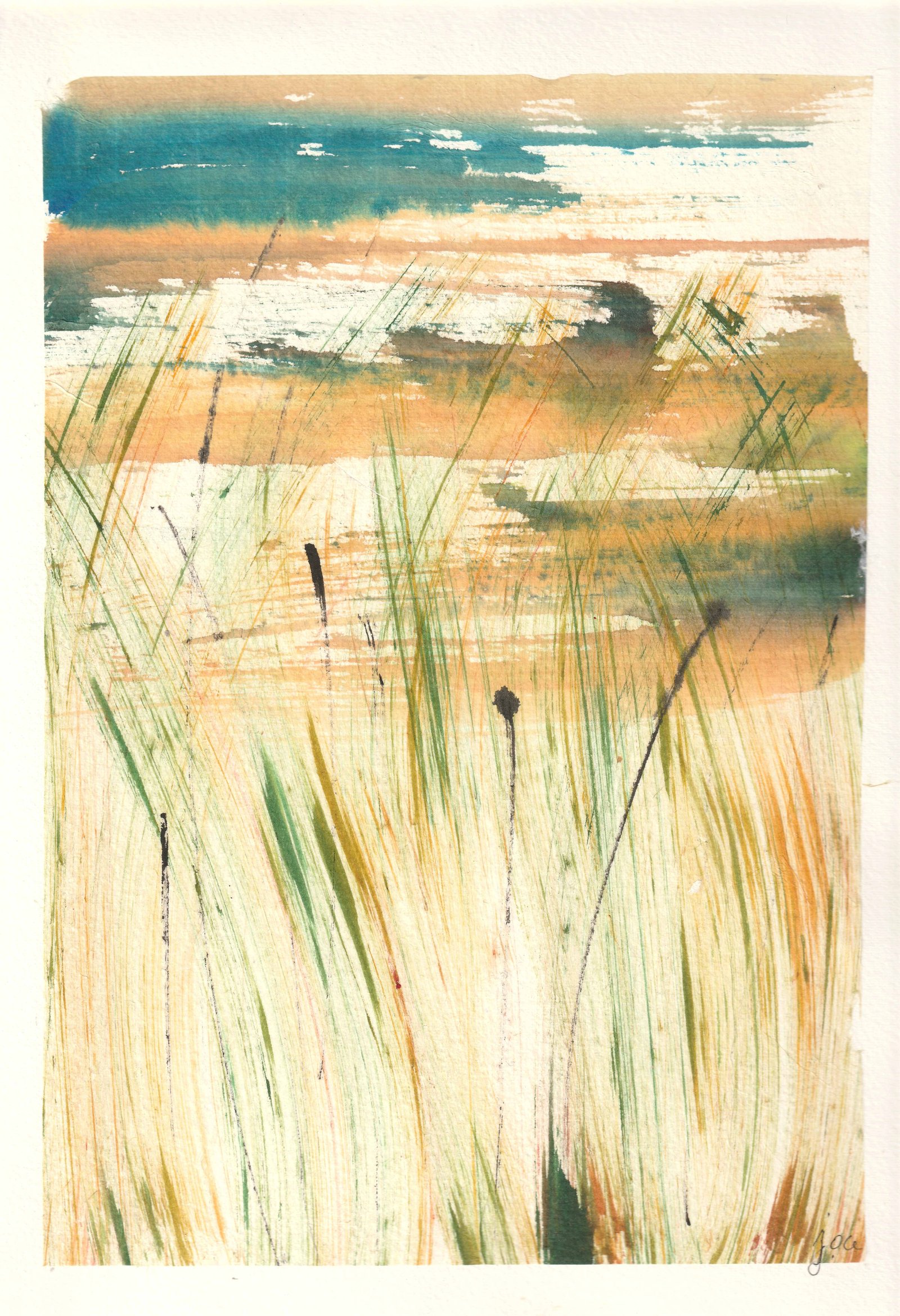 Albufera de valencia
