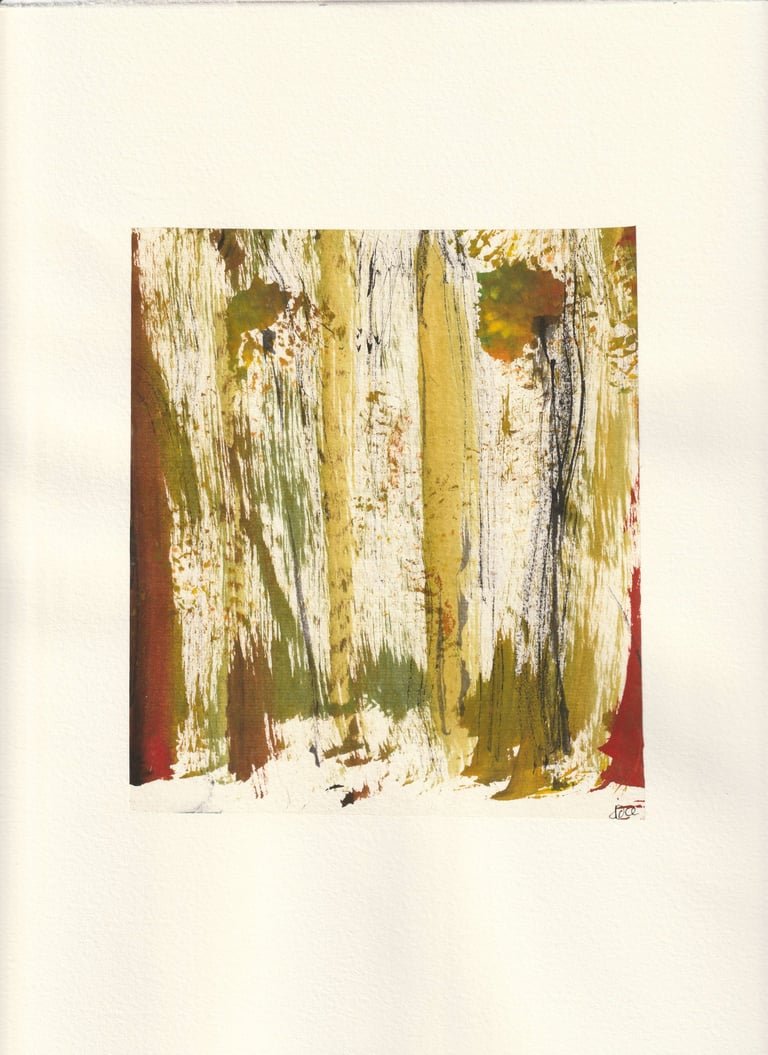 Forêt