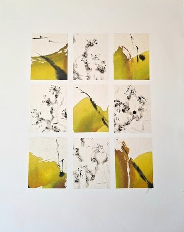 Traces et contrastes